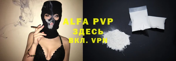 индика Инта