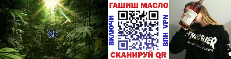 Купить  Карачев  ТГК концентрат 