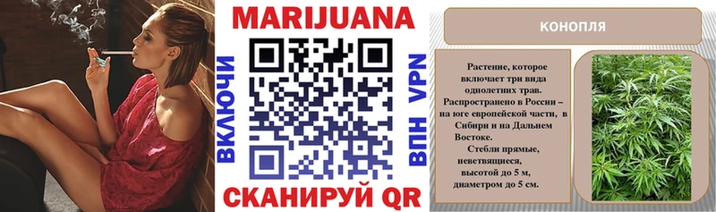 Купить где  Карачев  Конопля MAZAR 